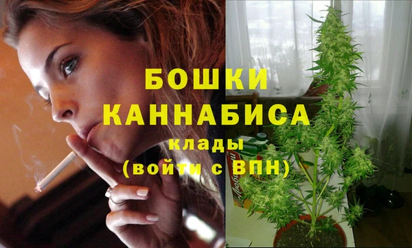 дмт Гусев