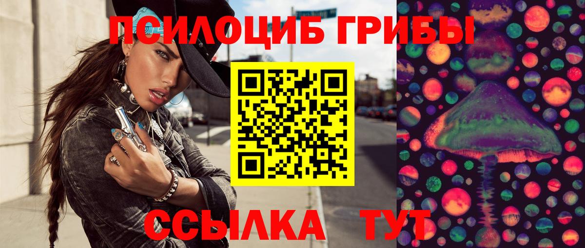 Новомосковск  Псилоцибиновые грибы GOLDEN TEACHER  Галлюциногенные грибы мухоморы  Вход с VPN 