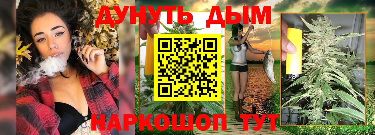 Новомосковск  Каннабис MAZAR  Конопля индика  МАРИХУАНА семена  Вход с VPN 